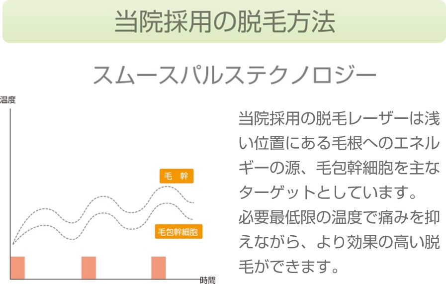 当院採用の脱毛方法。スムースパルステクノロジー。当院採用の脱毛レーザーは浅い位置にある毛根へのエネルギーの源、毛包幹細胞を主なターゲットとしています。必要最低限の温度で痛みを抑えながら、より効果の高い脱毛ができます。