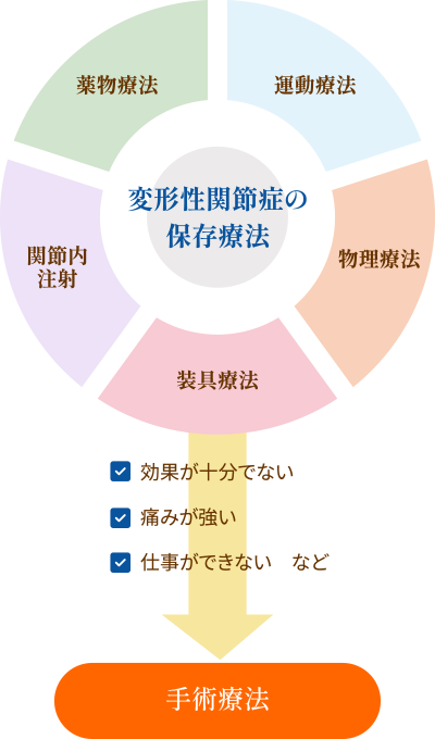 紹介画像